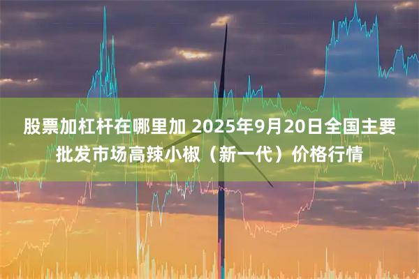 股票加杠杆在哪里加 2025年9月20日全国主要批发市场高辣小椒（新一代）价格行情