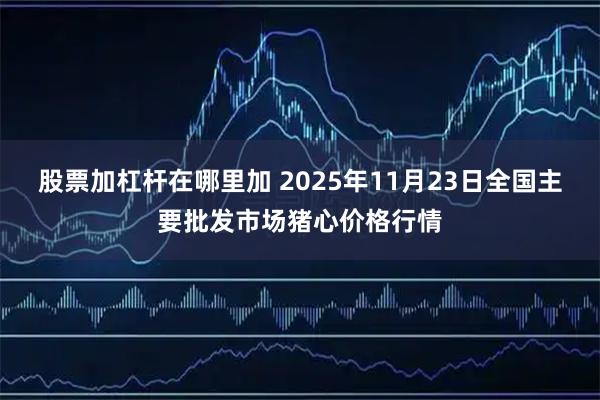 股票加杠杆在哪里加 2025年11月23日全国主要批发市场猪心价格行情