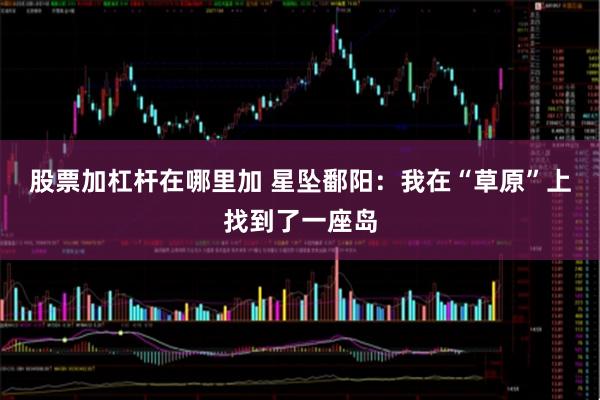 股票加杠杆在哪里加 星坠鄱阳：我在“草原”上找到了一座岛