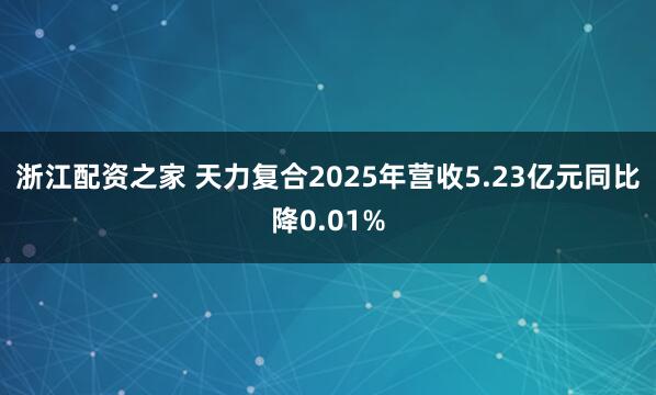 浙江配资之家 天力复合2025年营收5.23亿元同比降0.01%